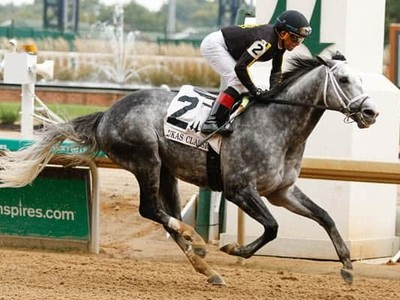 Can Knicks Go Carry His Speed In The Longines Breeders’ Cup  ... Image 1